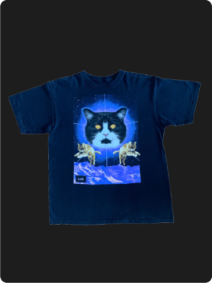 a.lab Cat T